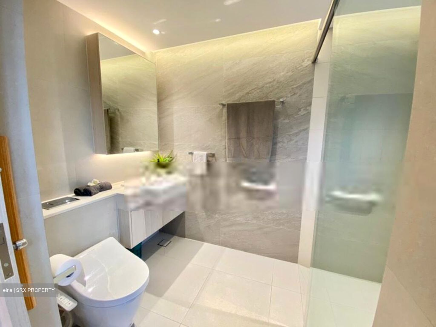 Cavenagh House (D9), Apartment #573373821